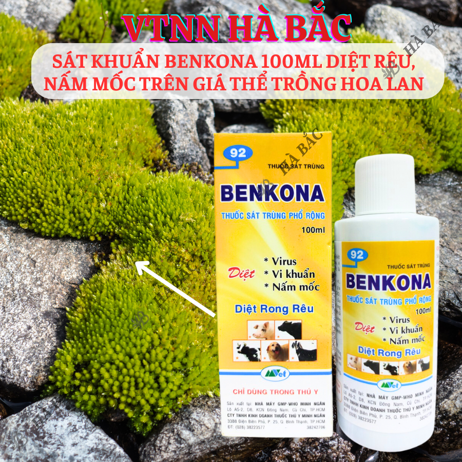 Chế Phẩm Sát Khuẩn Benkona Minh Ngân - Diệt Rêu, Nấm Mốc Trên Giá Thể Trồng Hoa Lan (100ml)