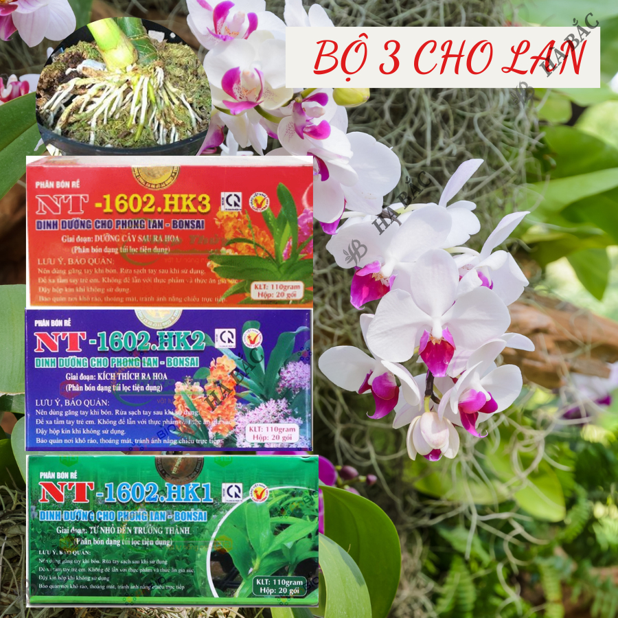 Phân bón tan chậm dạng túi lọc NT 1602-HK1, HK2, HK3 (hộp 20 túi) – chuyên phong lan bon sai cây kiểng