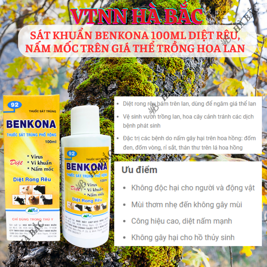 Chế Phẩm Sát Khuẩn Benkona Minh Ngân - Diệt Rêu, Nấm Mốc Trên Giá Thể Trồng Hoa Lan (100ml)