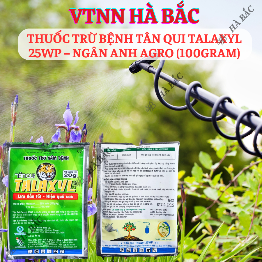 Thuoc Xử Lí Nấm Tân Qui Talaxyl 25wp – Ngân Anh Agro (20gram), Thối Nhũn trên Hoa Lan, Sương Mai, Đốm Lá Trên Hoa Hồng