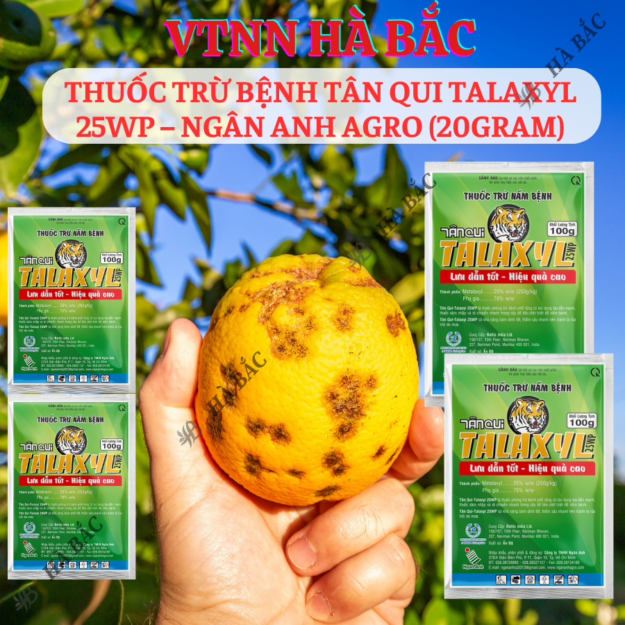 Thuoc Xử Lí Nấm Tân Qui Talaxyl 25wp – Ngân Anh Agro (20gram), Thối Nhũn trên Hoa Lan, Sương Mai, Đốm Lá Trên Hoa Hồng