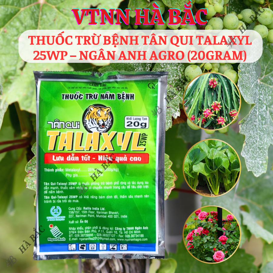 Thuoc Xử Lí Nấm Tân Qui Talaxyl 25wp – Ngân Anh Agro (20gram), Thối Nhũn trên Hoa Lan, Sương Mai, Đốm Lá Trên Hoa Hồng