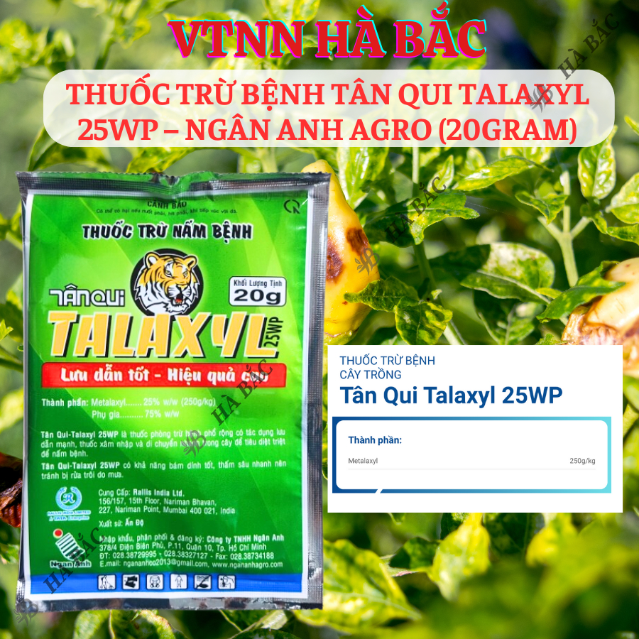 Thuoc Xử Lí Nấm Tân Qui Talaxyl 25wp – Ngân Anh Agro (20gram), Thối Nhũn trên Hoa Lan, Sương Mai, Đốm Lá Trên Hoa Hồng
