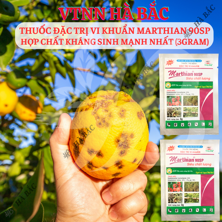 Chế Phẩm Xử Lí Vi Khuẩn Marthian 90sp Hợp Chất Khang Sinh Mạnh Nhất (Gói 3gram)