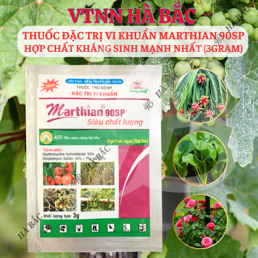Chế Phẩm Xử Lí Vi Khuẩn Marthian 90sp Hợp Chất Khang Sinh Mạnh Nhất (Gói 3gram)