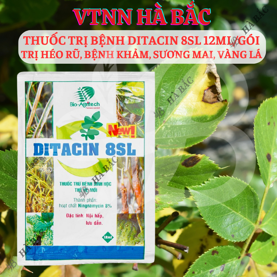 Thuoc Xử Lí Nam Benh Ditacin 8sl - Hết Héo Rũ, Benh Khảm, Sương Mai, Vàng Lá (Gói 12ml)