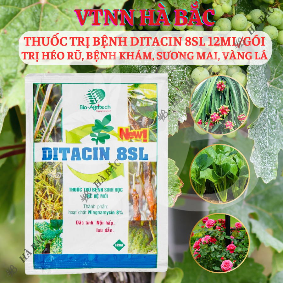 Thuoc Xử Lí Nam Benh Ditacin 8sl - Hết Héo Rũ, Benh Khảm, Sương Mai, Vàng Lá (Gói 12ml)