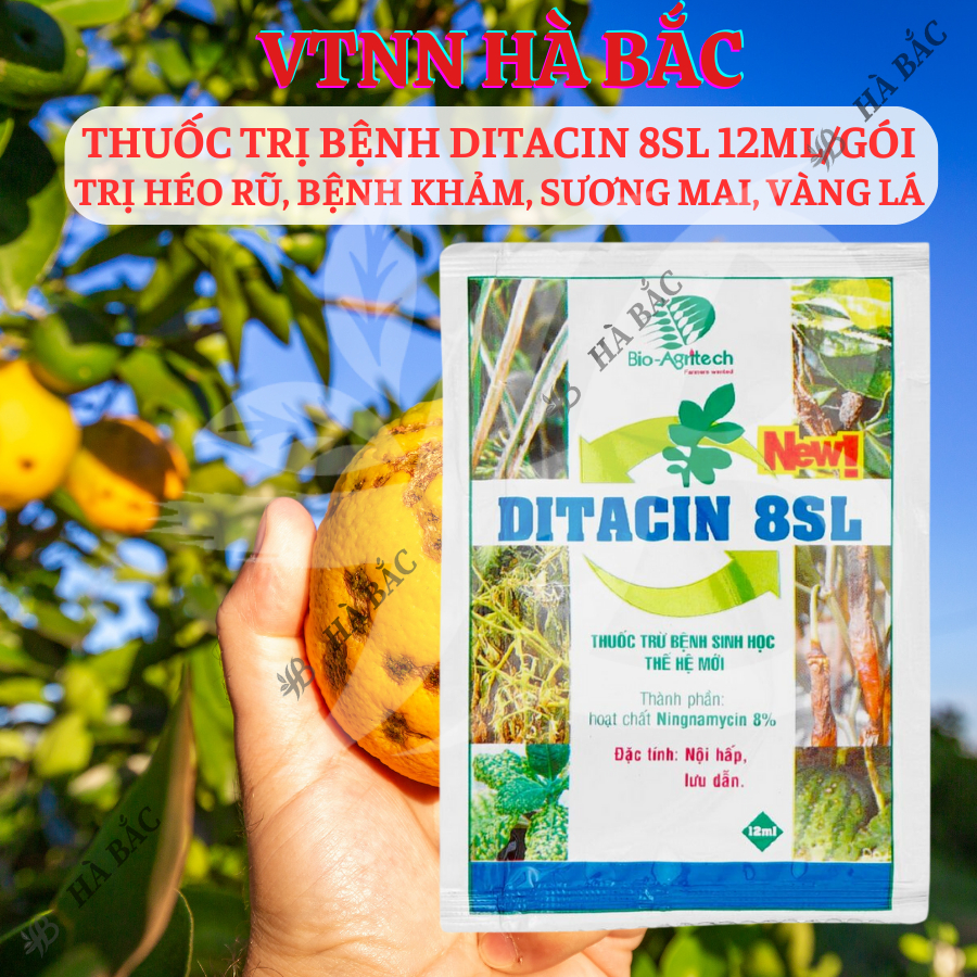 Thuoc Xử Lí Nam Benh Ditacin 8sl - Hết Héo Rũ, Benh Khảm, Sương Mai, Vàng Lá (Gói 12ml)
