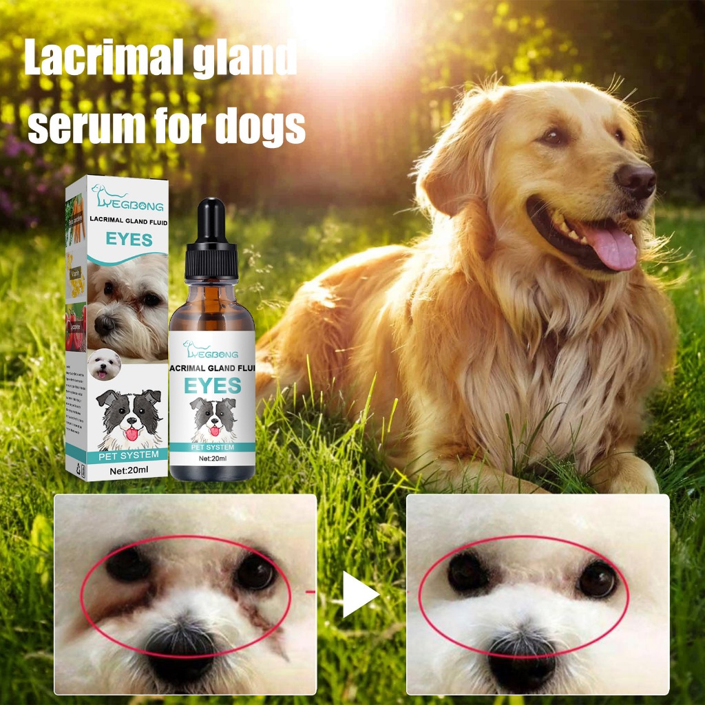 Siro uống ngăn tiết lệ, chống chảy nước mắt ở Chó Mèo WEGBONG - nguyên chai 20ml