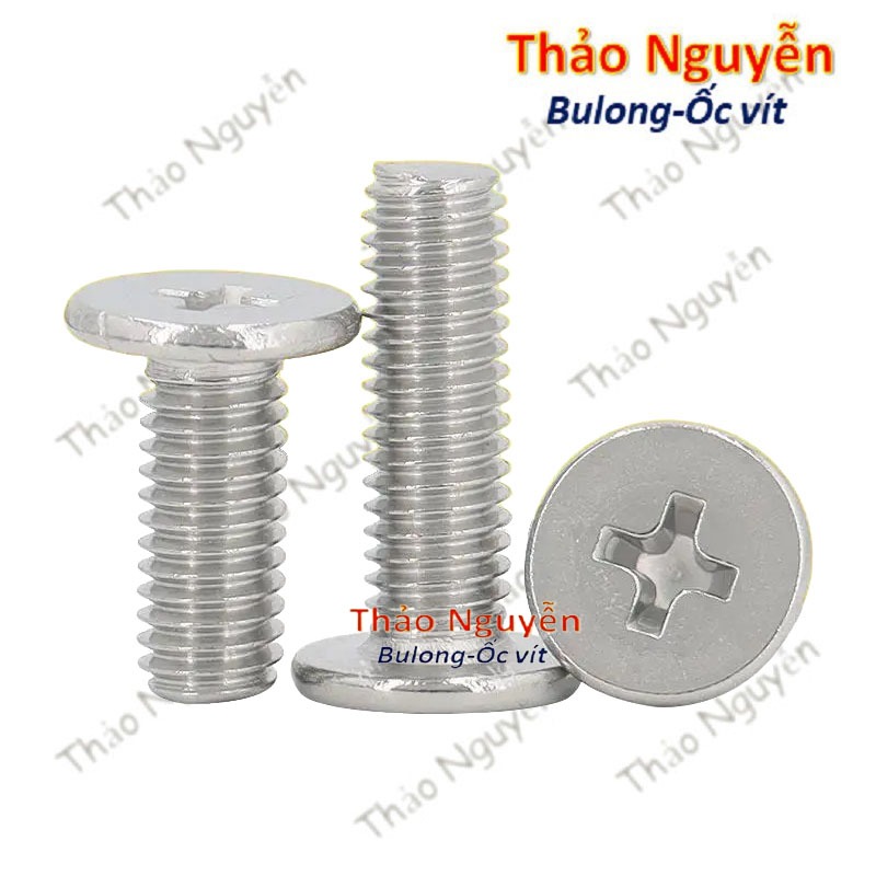 Set 10 con Ốc vít đầu pake dẹp mỏng phẳng inox 304 size M3 M4 M5 M6 ...