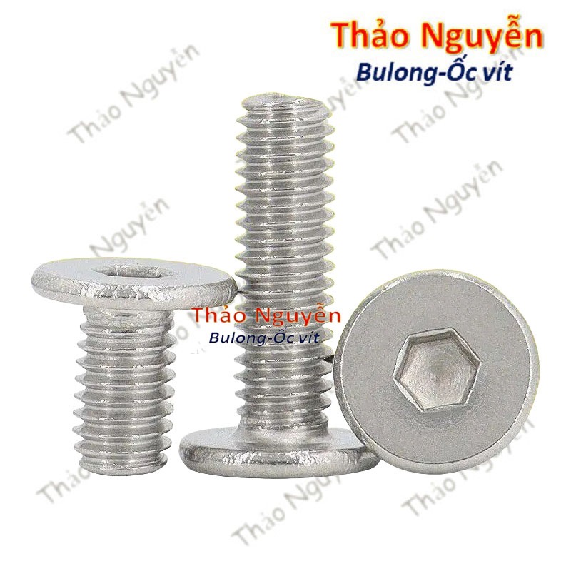 Set 10 con Ốc vít đầu lục giác dẹp mỏng phẳng inox 304 size M3 M4 M5 M6 ...