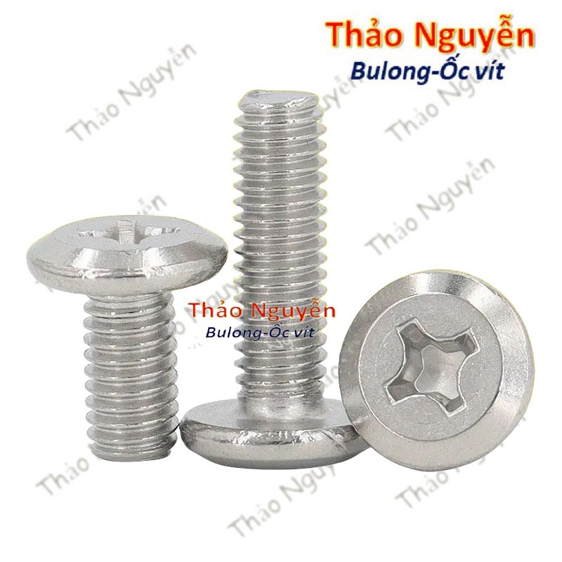 Set 10 con Ốc vít đầu pake dẹp mỏng vát inox 304 size M3 M4 M5 M6 ...