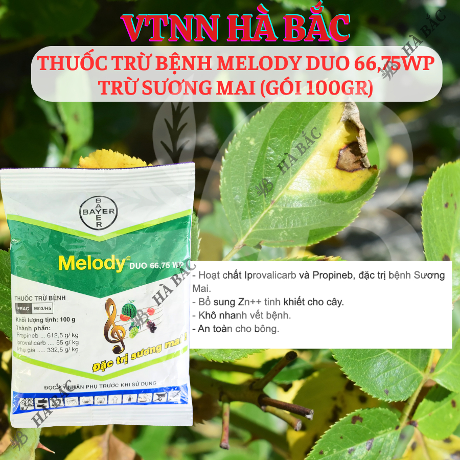 Chế Phẩm Xử Lí Nam Benh Melody Duo 66,75WP Bayer, Xử Lí Sương Mai (Gói 100gram)