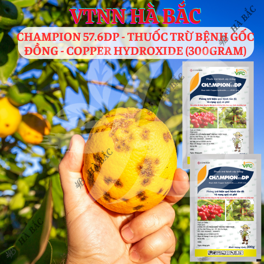 Chế Phẩm Xử Lí Benhh Gốc Đồng Champion 57.6dp - Copper Hydroxide (Gói 100gram)