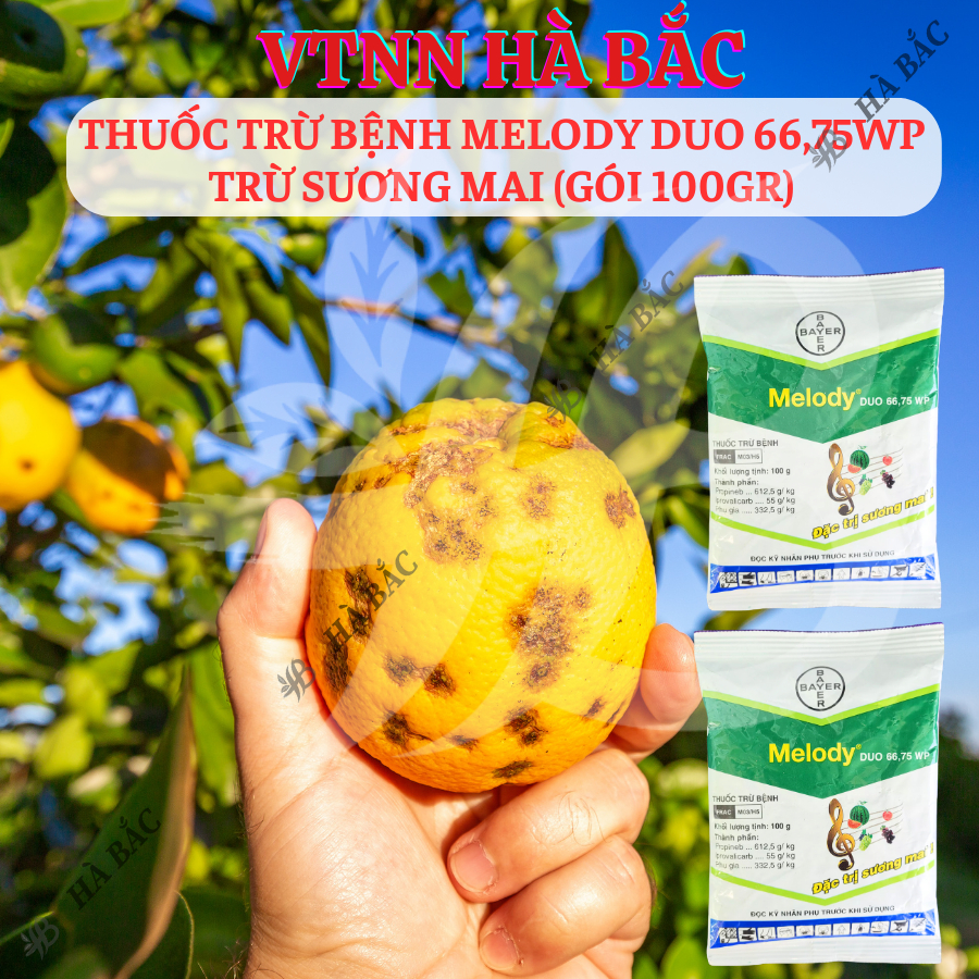 Chế Phẩm Xử Lí Nam Benh Melody Duo 66,75WP Bayer, Xử Lí Sương Mai (Gói 100gram)