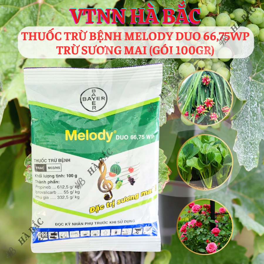 Chế Phẩm Xử Lí Nam Benh Melody Duo 66,75WP Bayer, Xử Lí Sương Mai (Gói 100gram)