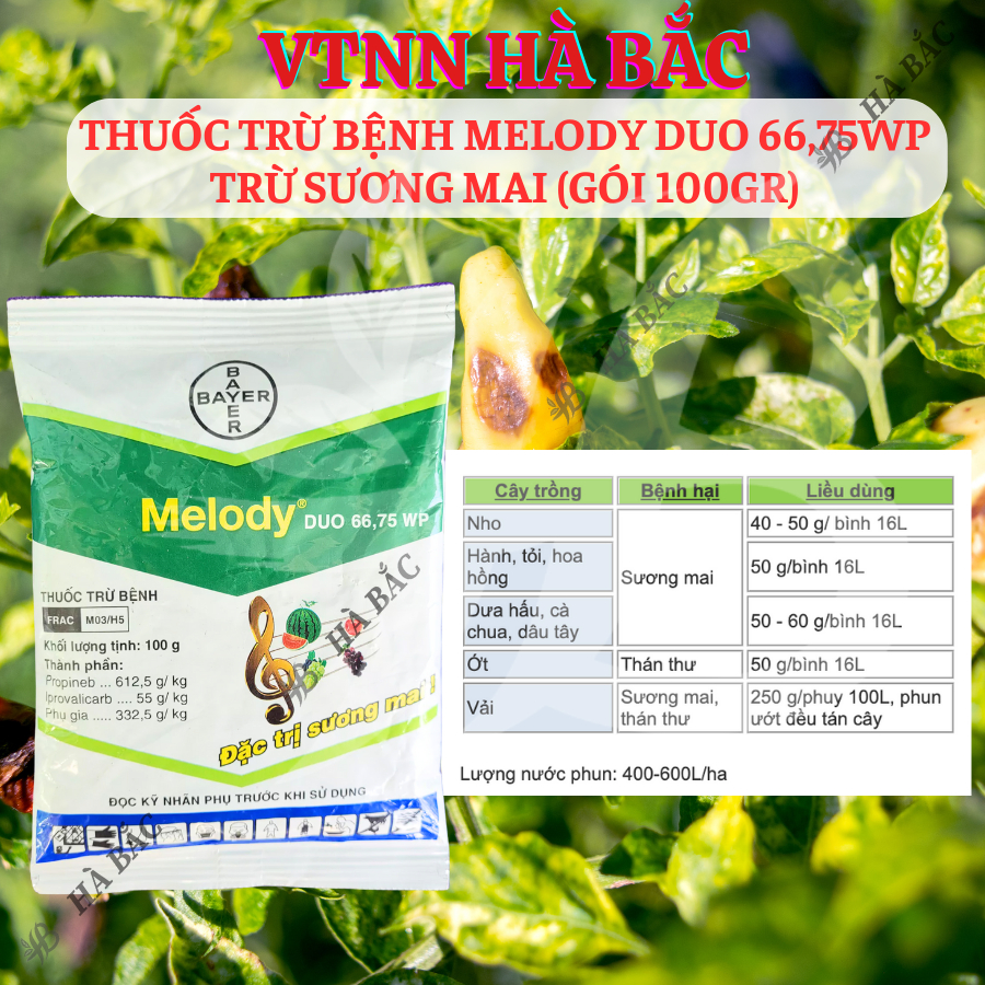 Chế Phẩm Xử Lí Nam Benh Melody Duo 66,75WP Bayer, Xử Lí Sương Mai (Gói 100gram)