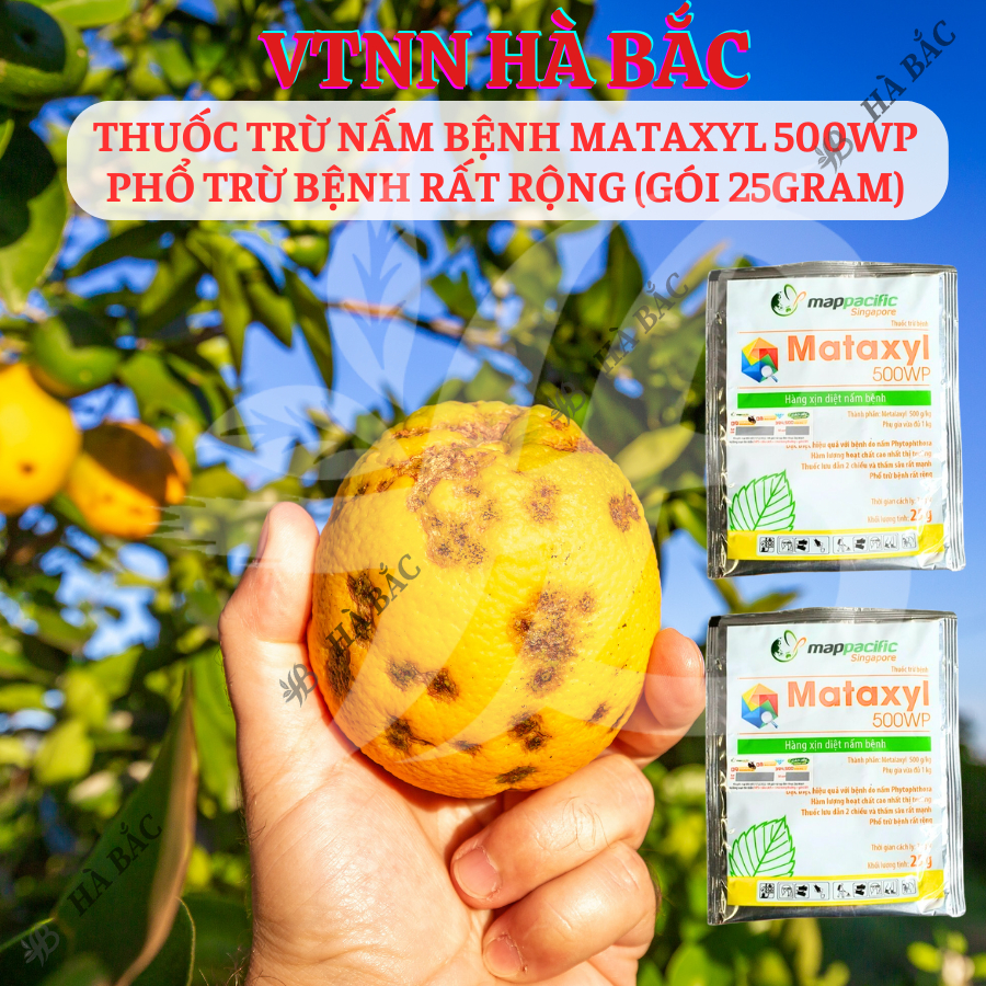 Chế phẩm xử lí nam benhh Mataxyl 500WP phổ trừ bệnh rất rộng (gói 25gram)
