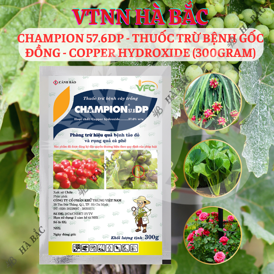 Chế Phẩm Xử Lí Benhh Gốc Đồng Champion 57.6dp - Copper Hydroxide (Gói 100gram)