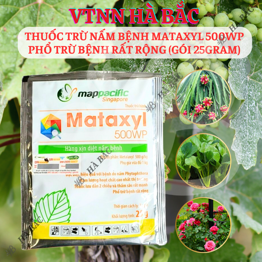 Chế phẩm xử lí nam benhh Mataxyl 500WP phổ trừ bệnh rất rộng (gói 25gram)