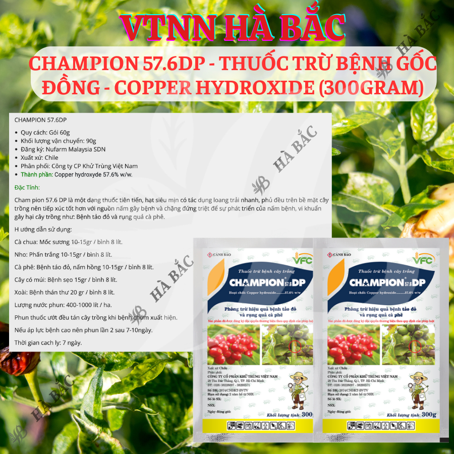 Chế Phẩm Xử Lí Benhh Gốc Đồng Champion 57.6dp - Copper Hydroxide (Gói 100gram)