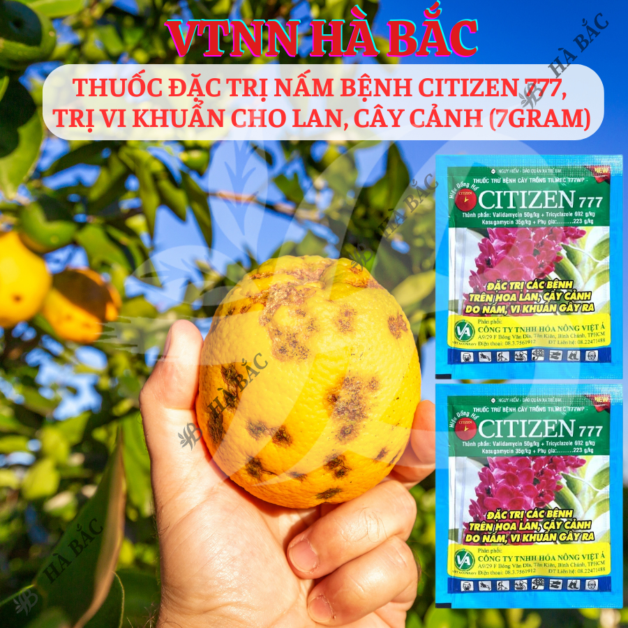 Chế Phẩm Xử Lí Nam Citizen 777,  Xử Lí Khuẩn Cho Lan, Cây Cảnh (Gói 7gram)