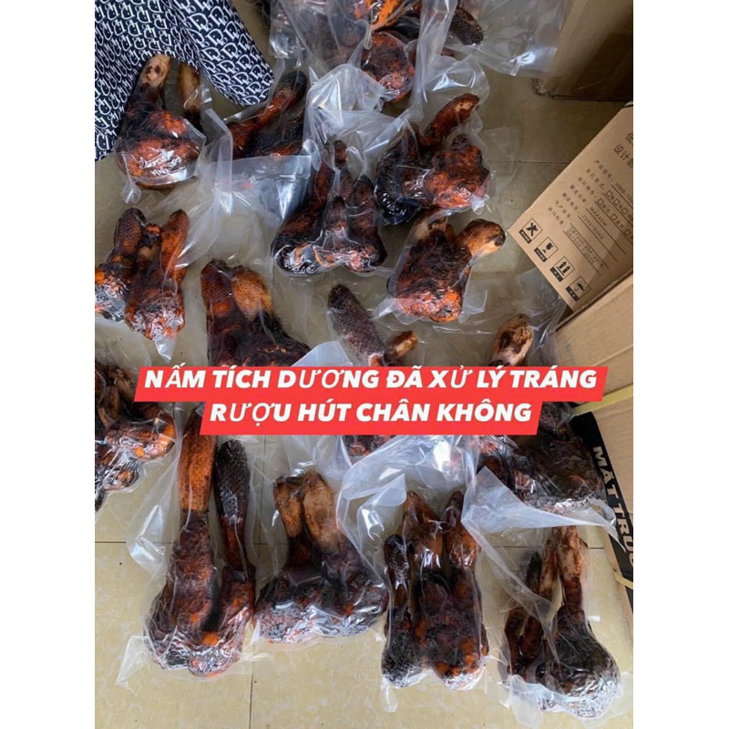 Nấm tích dương rừng Lai Châu(tươi-khô)-Hàng chọn lên bình cực đẹp 1kg