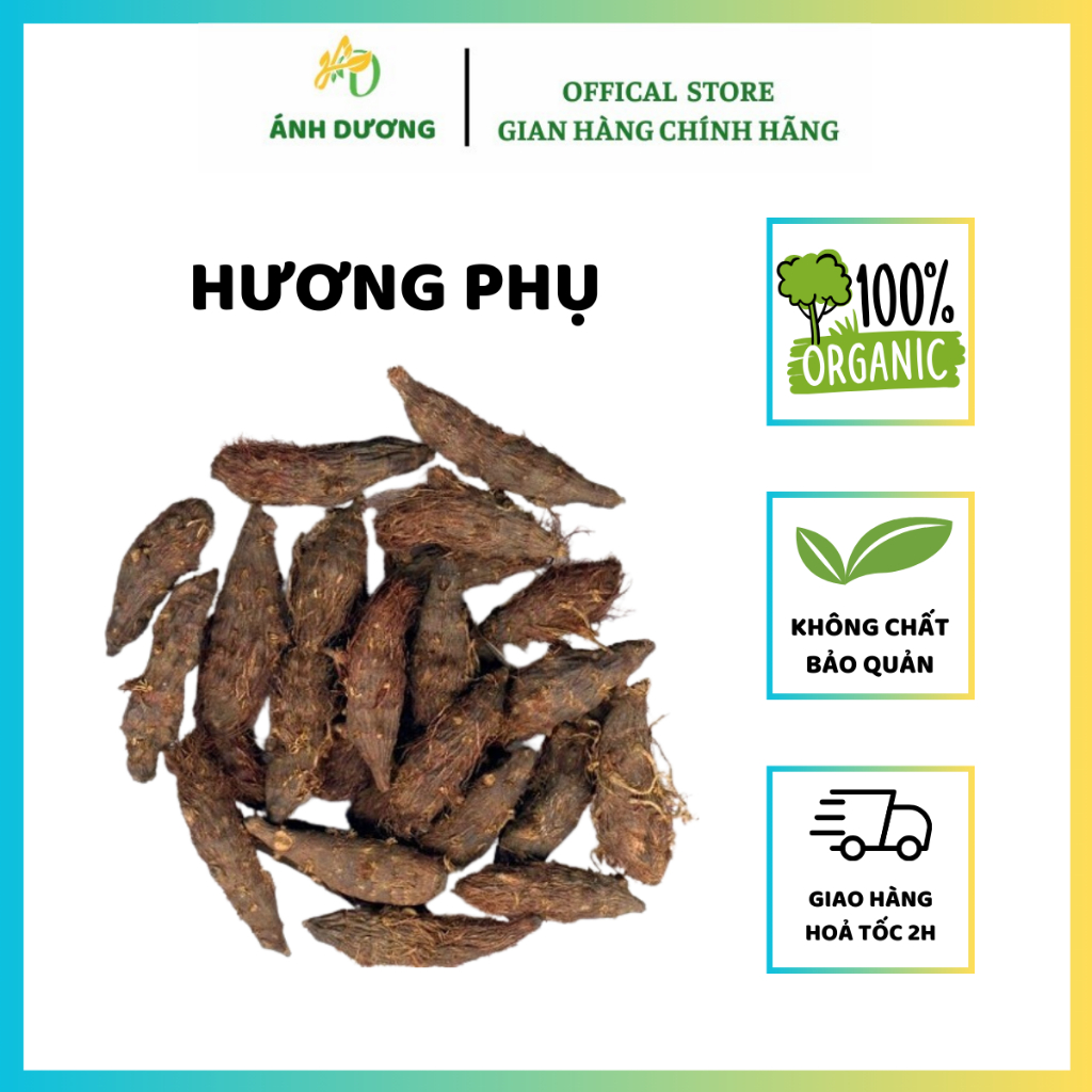 Hương Phụ ( Củ Gấu, Cỏ Gấu ) Khô, Sạch Hàng Loại 1