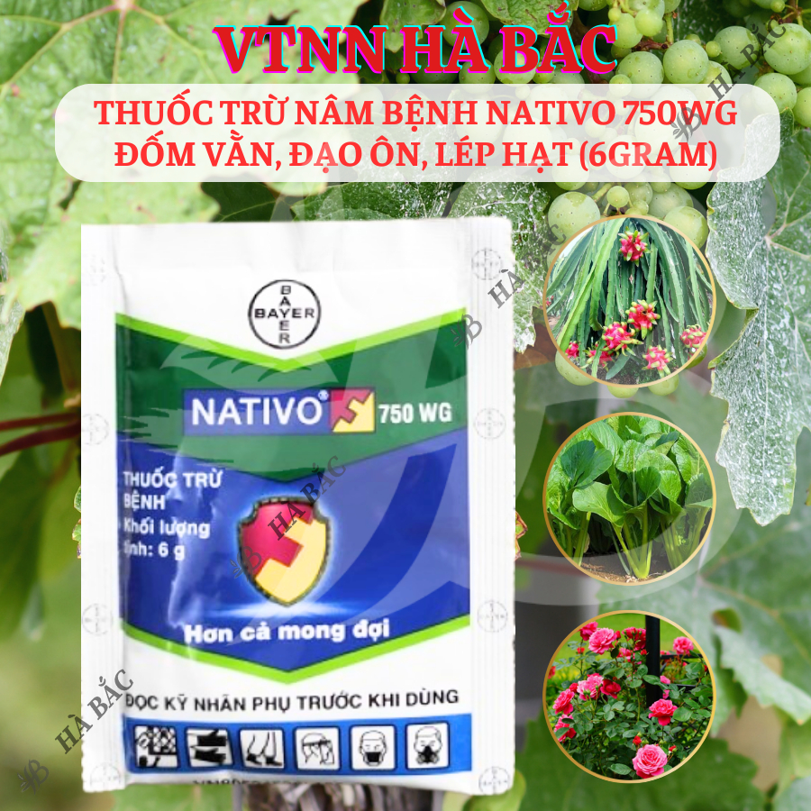 Chế Phẩm Xử Lí Nam Nativo 750WG Đốm Vằn, Đạo Ôn, Lép Hạt (6gram)