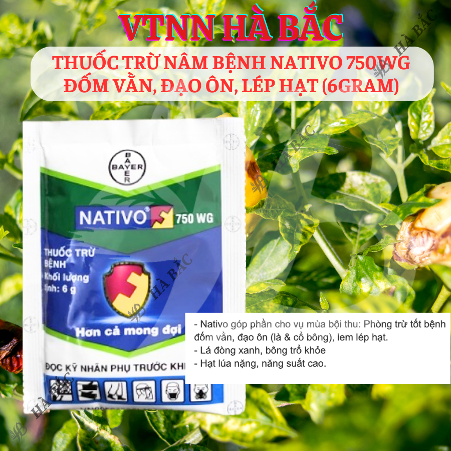 Chế Phẩm Xử Lí Nam Nativo 750WG Đốm Vằn, Đạo Ôn, Lép Hạt (6gram)
