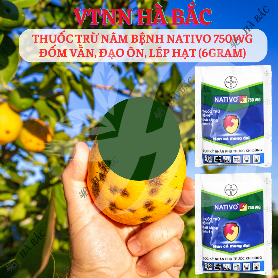 Chế Phẩm Xử Lí Nam Nativo 750WG Đốm Vằn, Đạo Ôn, Lép Hạt (6gram)