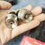 Gù tay lái inox 304 mẫu thái gắn xe wave, sirius, exciter 150, winner x..giá 1 cặp