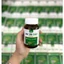 TPBVSK Kim Tiền Thảo Premium Hộp 30 viên – Hỗ trợ tốt cho người bị sỏi tiết niệu, sỏi mật, sỏi thận