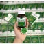 TPBVSK Kim Tiền Thảo Premium Hộp 30 viên – Hỗ trợ tốt cho người bị sỏi tiết niệu, sỏi mật, sỏi thận