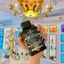 Lattaf.a B.ade'e Al Oud Oud For Glory EDP 10ml, 20ml