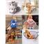Móc khóa, gấu bông cute hình sóc, stick, vịt mũ rơm