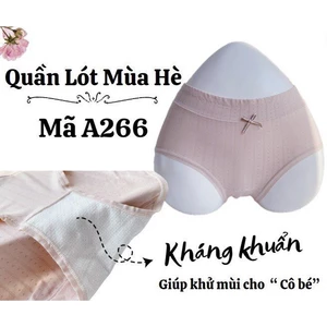Quần chip nữ vải cotton co dãn thoáng khia A266, Đồ lót 12h