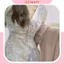 Váy tiểu thư, váy tiểu thư sang chảnh vintage dáng dài có ống tay chất voan hoa cao cấp mềm mịn thanh lịch - GEMMY