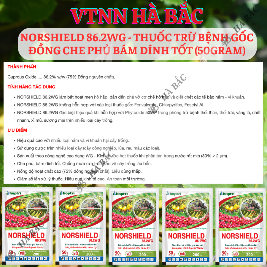 Chế Phẩm Xử Lí Benhh Gốc Đồng Norshield 86.2WG, Che Phủ Bám Dính Tốt (50gram)