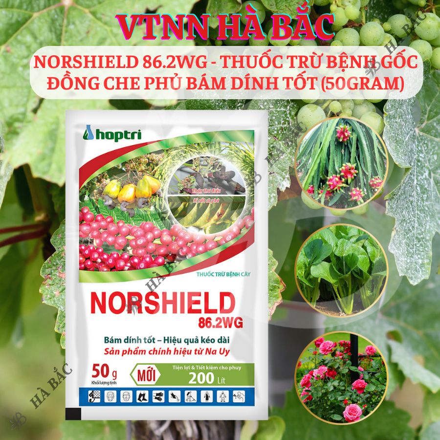 Chế Phẩm Xử Lí Benhh Gốc Đồng Norshield 86.2WG, Che Phủ Bám Dính Tốt (50gram)