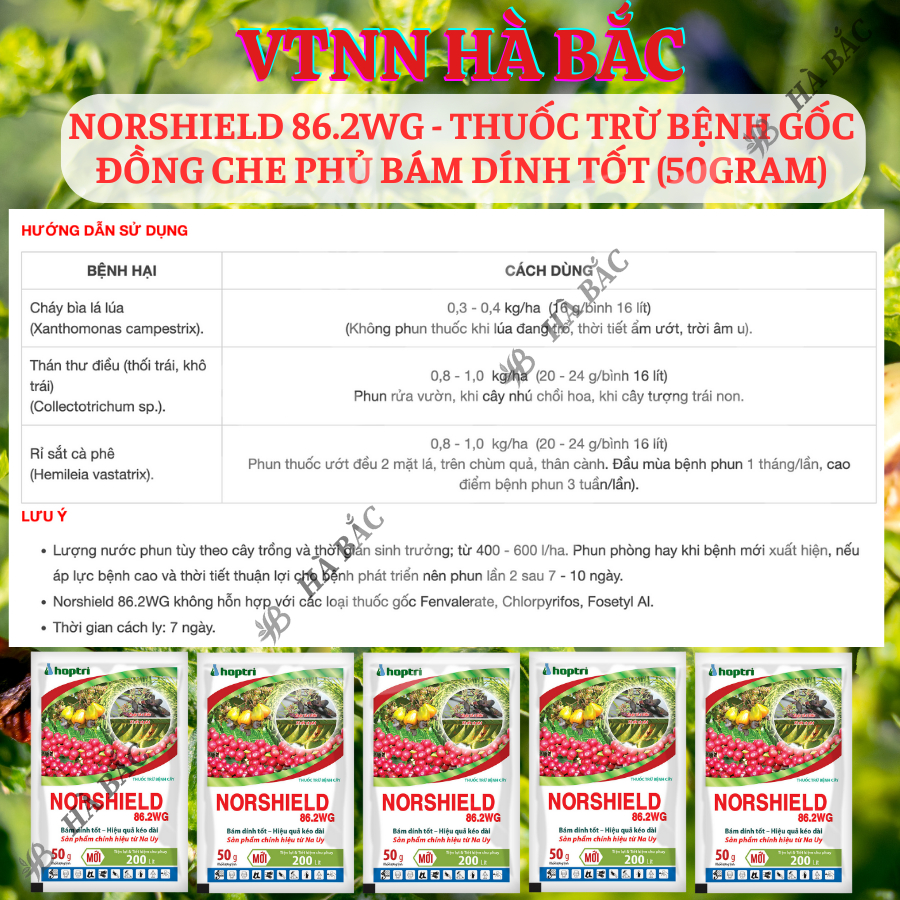 Chế Phẩm Xử Lí Benhh Gốc Đồng Norshield 86.2WG, Che Phủ Bám Dính Tốt (50gram)