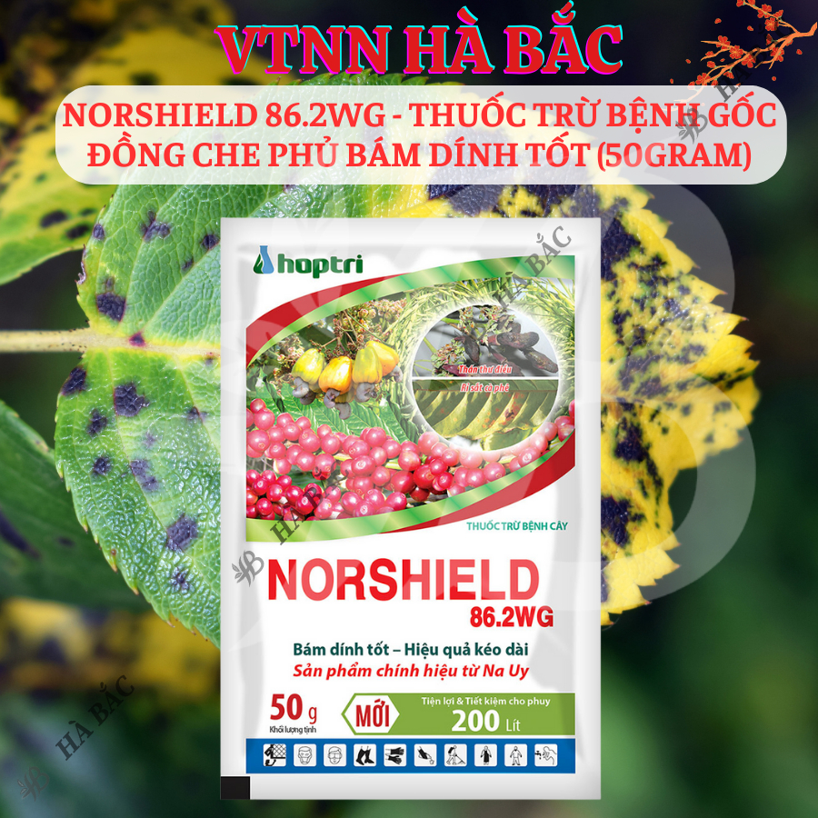 Chế Phẩm Xử Lí Benhh Gốc Đồng Norshield 86.2WG, Che Phủ Bám Dính Tốt (50gram)