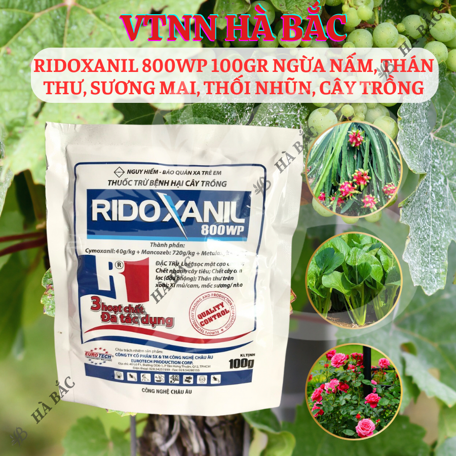 Chế Phẩm Ngừa Nam Ridoxanil 800WP, Thán Thư, Sương Mai, Thối Nhũn, Cây Trồng (Gói 100gram)