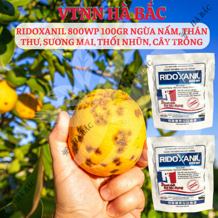Chế Phẩm Ngừa Nam Ridoxanil 800WP, Thán Thư, Sương Mai, Thối Nhũn, Cây Trồng (Gói 100gram)