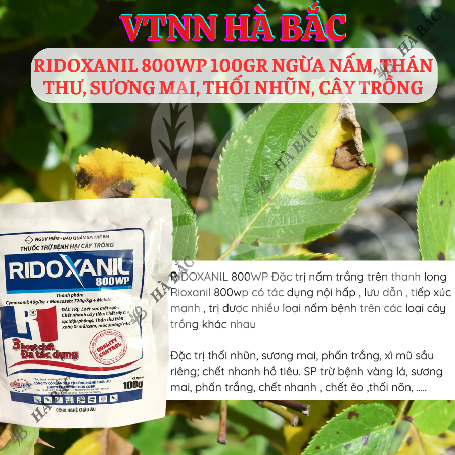 Chế Phẩm Ngừa Nam Ridoxanil 800WP, Thán Thư, Sương Mai, Thối Nhũn, Cây Trồng (Gói 100gram)