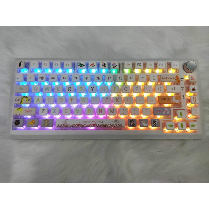Bàn Phím Cơ DK75 Custom 3 mode | Shopee Việt Nam