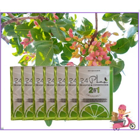 Combo 3 gói DẦU GỘI BƯỞI 7ML.24Plus Ngăn Ngừa Rụng Tóc, Thúc đẩy quá trình mọc tóc.