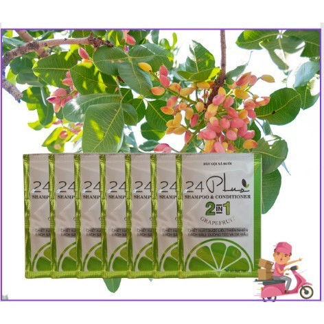 10  BỊCH GỘI BƯỞI 70ML.24Plus Ngăn Ngừa Rụng Tóc, Thúc đẩy quá trình mọc tóc.