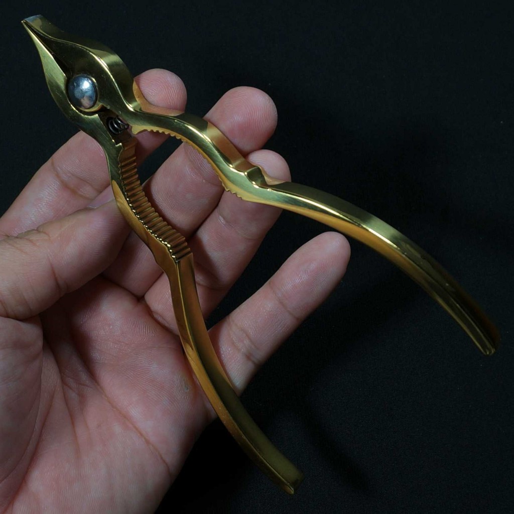 Cây Tách Vỏ Sò Huyết - Bảo hành trọn đời