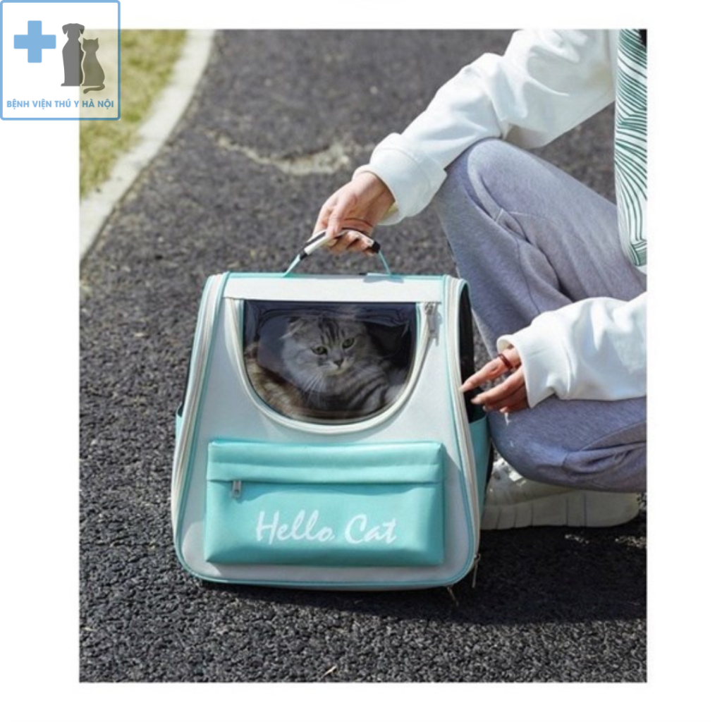 Balo vận chuyển cho mèo, chó, thú cưng HELLO CAT